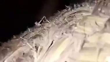 Desi guy fucking his wifes younger sister video